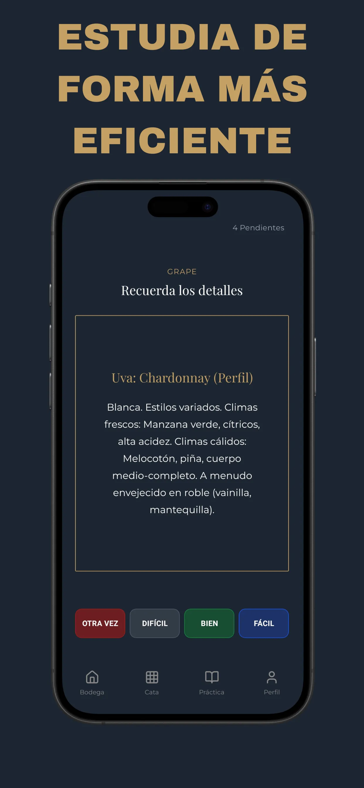 Ejercicios Oculares